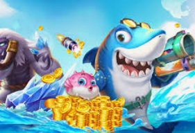 新kiyaun网页版登录2024最新版